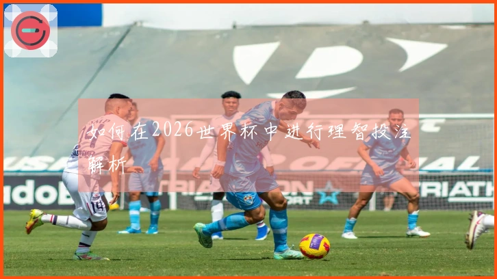 如何在2026世界杯中进行理智投注解析