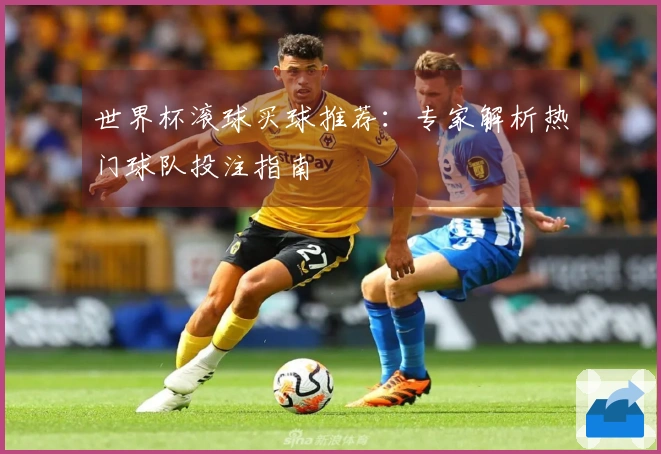 世界杯滚球买球推荐：专家解析热门球队投注指南