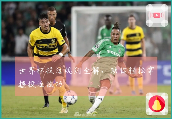 世界杯投注规则全解，助你轻松掌握投注技巧