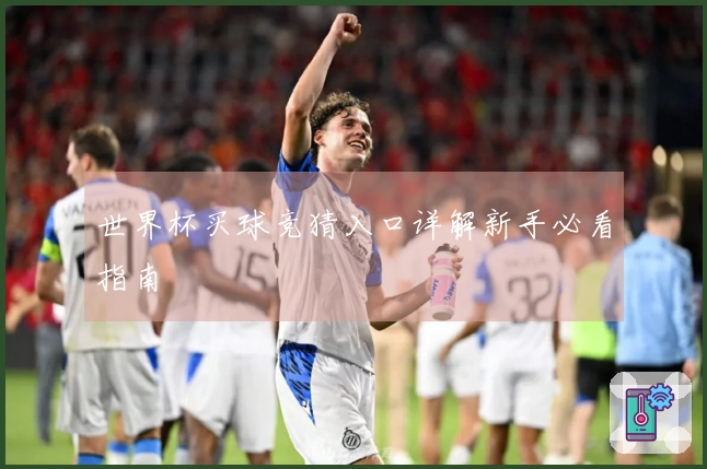 世界杯买球竞猜入口详解新手必看指南