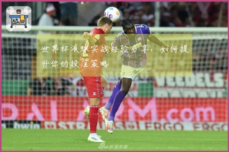 世界杯滚球实战经验分享，如何提升你的投注策略