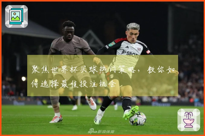 聚焦世界杯买球热门策略，教你如何选择最佳投注机会