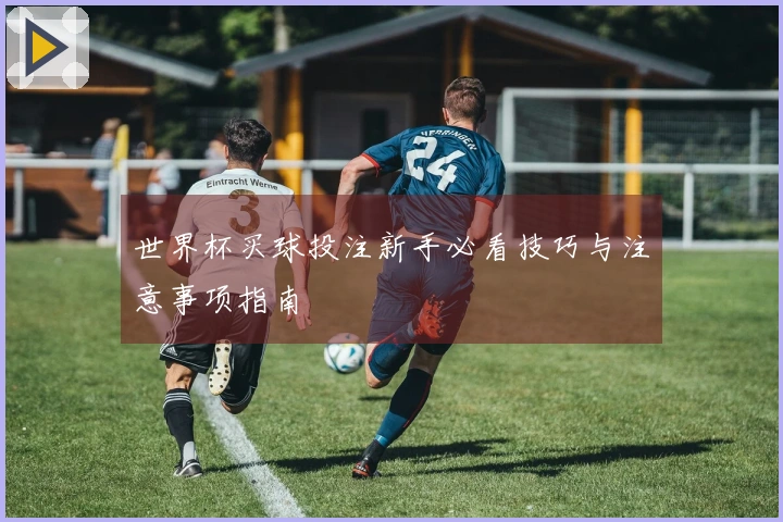 世界杯买球投注新手必看技巧与注意事项指南