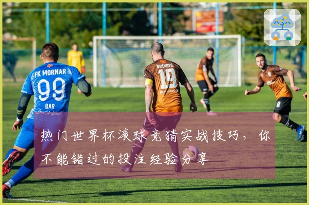 热门世界杯滚球竞猜实战技巧,你不能错过的投注经验分享