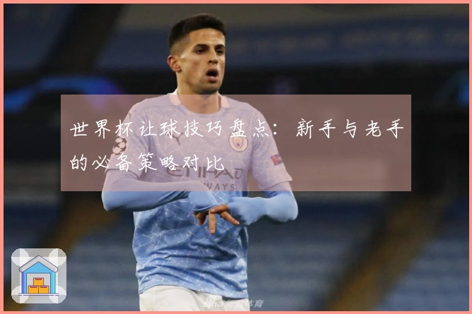 世界杯让球技巧盘点：新手与老手的必备策略对比