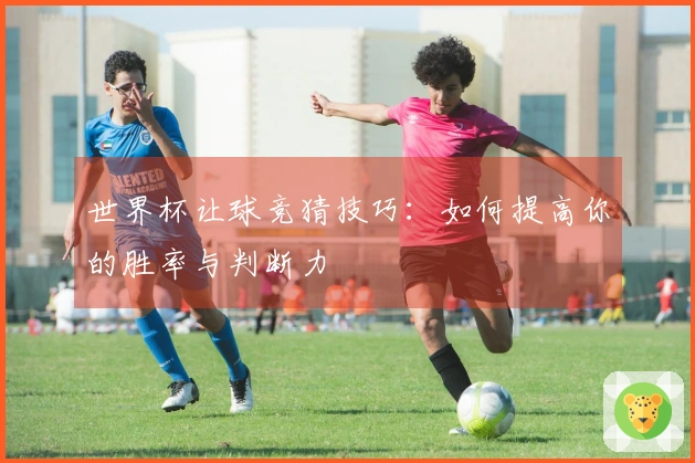 世界杯让球竞猜技巧：如何提高你的胜率与判断力
