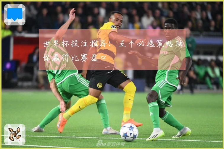 世界杯投注推荐：五个必选策略助你赢得比赛盘口