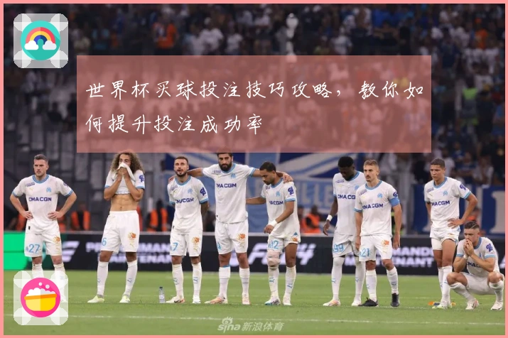 世界杯买球投注技巧攻略，教你如何提升投注成功率