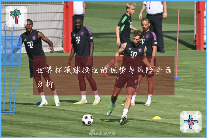 世界杯滚球投注的优势与风险全面分析