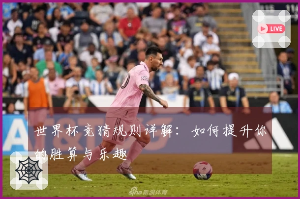 世界杯竞猜规则详解：如何提升你的胜算与乐趣
