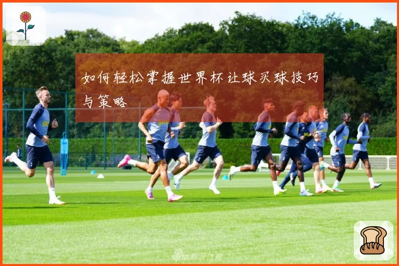如何轻松掌握世界杯让球买球技巧与策略