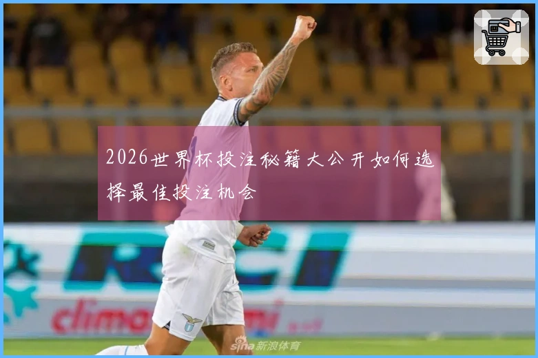 2026世界杯投注秘籍大公开如何选择最佳投注机会