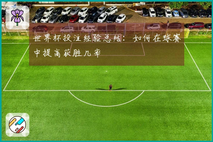 世界杯投注经验总结：如何在球赛中提高获胜几率
