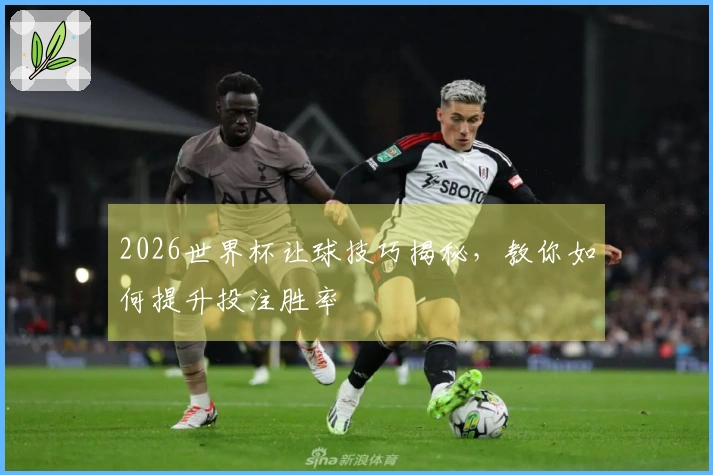 2026世界杯让球技巧揭秘，教你如何提升投注胜率