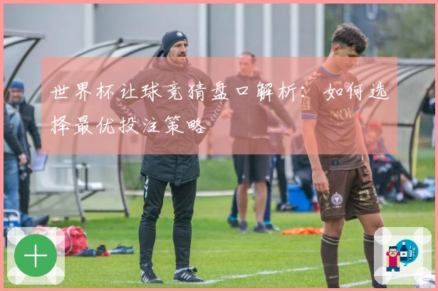 世界杯让球竞猜盘口解析：如何选择最优投注策略