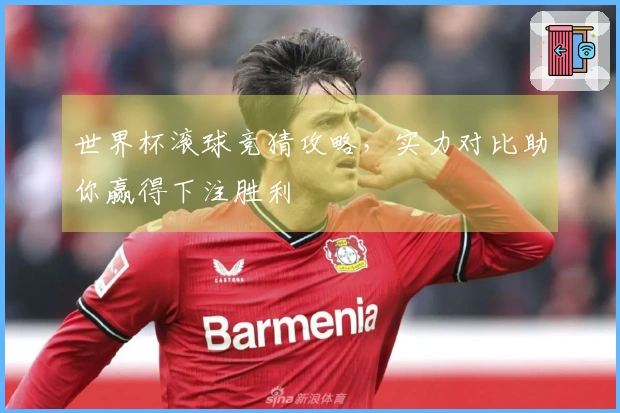 世界杯滚球竞猜攻略，实力对比助你赢得下注胜利