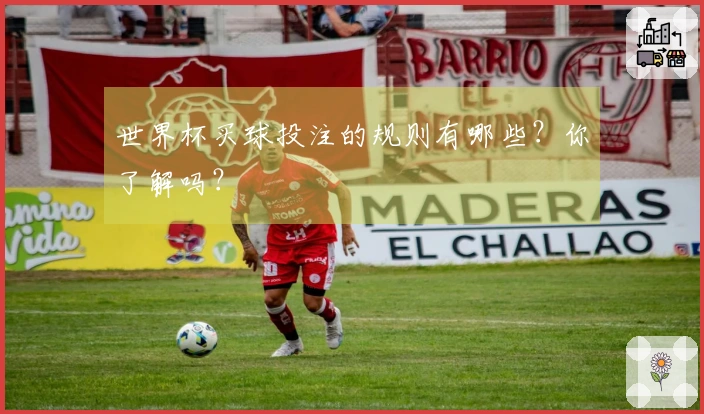 世界杯买球投注的规则有哪些？你了解吗？