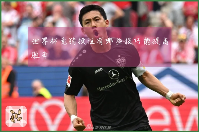世界杯竞猜投注有哪些技巧能提高胜率