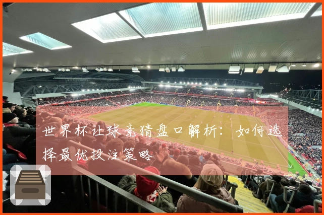 世界杯让球竞猜盘口解析：如何选择最优投注策略