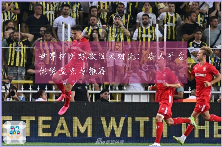 世界杯买球投注大对比：各大平台优势盘点与推荐