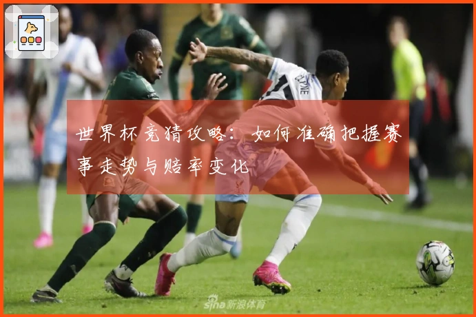 世界杯竞猜攻略：如何准确把握赛事走势与赔率变化